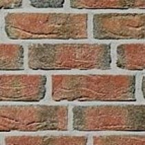 FEHNBRAND buntgeflammt : Roben