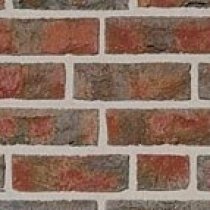 FORMBACK buntgeflammt : Roben